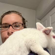 TOP 10 BEST Dog Wash in Coral Springs, FL