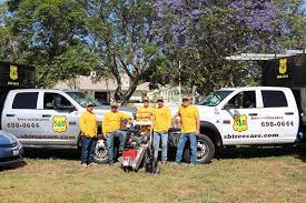 Plus, with access to bartlett's global resources and advanced scientific research facility, we can provide customers with benefits that just aren't available from other santa barbara tree services. Santa Barbara Tree Service Expert Trimming And Removal