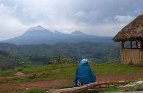 3 tage / 2 nächte. Besteigung Des Nyiragongo Vulkans Und Gorilla Tracking