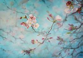 Cherry Blossoms Sakura Cherry Tree Branch Painting Cherry Blossom Watercolor Cherry Blossom Art Floral Painting