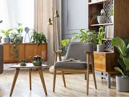 ¿quieres plantar plantas en su sala de estar, pero no sabes cómo? 10 Plantas Perfectas Para Decorar La Sala De Tu Casa