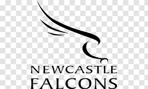 Premiership rugby club exeter chiefs have decided not to change their name or logo after an internal review found their branding was in fact highly respectful, although the club have stood down their mascot big chief as a mark of respect. Newcastle Falcons English Premiership Kingston Park Sale Sharks Exeter Chiefs Happiness The Wasp Logo Transparent Png