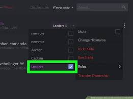 How to make a role in discord. How To Assign A Mod In A Discord Server On A Pc Or Mac