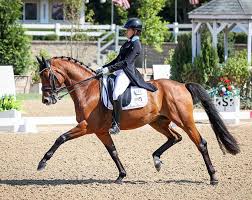 Folk, Bacon, Woodcock, Berger Win Youth Divisions at 2024 U.S. Dressage  Championships