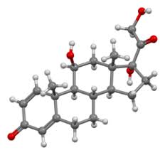 Image result for Prednisolone