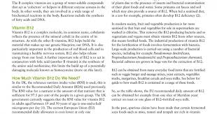 B12 And The Vegan Diet Fact Sheet Resources Viva Health