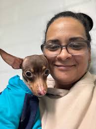 This is Cinderella. She's almost 14. Quite a character and very vocal.