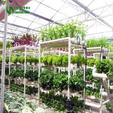 Pvc Pipe Nft Vertical Hydroponics System For Sale Lettuce Strawberry Cucumber China Hydroponnics Vertical Hydroponics Made In China Com