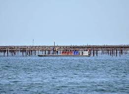 Parc A Huitres Etang De Thau Photo De Restaurant Le Grand Bleu Bouzigues Tripadvisor