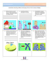 The sister chromatids are moving apart. Video Recap Of Mitosis By Amoeba Sisters Mitosis Cell Anatomy