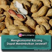 Protein digolongkan menjadi 2 macam, yaitu : Pro Emergency Mungkin Sebagian Orang Takut Dengan Makanan Berprotein Tinggi Yang Satu Ini Ya Tak Sedikit Orang Yang Ragu Untuk Mengkonsumsi Kacang Tanah Atau Jenis Kacang Yang Lainnya Karena Dapat Memicu Timbulnya