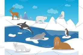 Arctic Landscape With Different Polar Animals Polar Animals Arctic Landscape Arctic Habitat