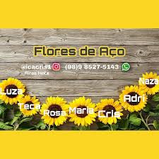 Sinopse flores de aço mostra a vida e a amizade de seis mulheres em louisiana. Flores De Aco Home Facebook
