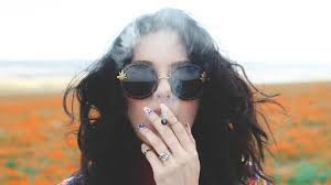 Fumare Una Canna Blunt In Vetro O Cartine Qual E La Differenza