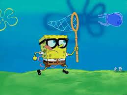 We did not find results for: Spongebob Squarepants Jellyfish Net Novocom Top