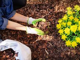 Maybe you would like to learn more about one of these? Finish Your Garden With Decorative Bark Lovethegarden