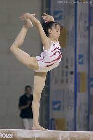 Prima atleta azzurra a laurearsi campionessa mondiale di ginnastica artistica, prestazione realizzata ad aarhus nel 2006, in tale anno fu insignita del collare d'oro al merito sportivo del coni, e a inizio 2007 ricevette l'onorificenza presidenziale di. Vanessa Ferrari Italy Eyof 2005 Bernarhdt Schwall Artistic Gymnastics Female Gymnast Olympic Gymnastics