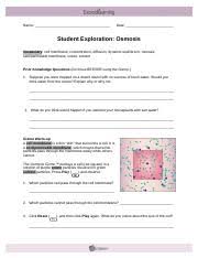 Download student exploration equilibrium and concentration answers quizlet student exploration element builder worksheet answer key quizlet the reaction n2 3h2 2nh3 at equilibrium was found to contain 1 00 from i2.wp.com but it can also be used as part of an ielts preparation course in the classroom, or set as homework by a teacher. Activity B Effect Of Cell Volume Get The Gizmo Ready Click Reset Set The Solute Course Hero