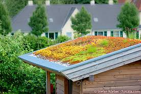 Dachbegrunung Auf Ihrem Gartenhaus So Geht S