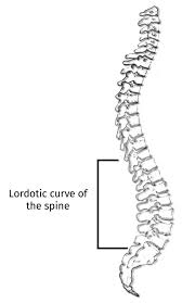 There are ways to treat this condition so that you don't have to live with the pain. The Psoas Iliacus Quadratus Lumborum And Piriformis Connecting The Back And Hips Ekhart Yoga