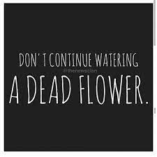 Dont Continue Watering A Dead Flower Pictures Photos And Images For Facebook Tumblr Pinterest And Twitter