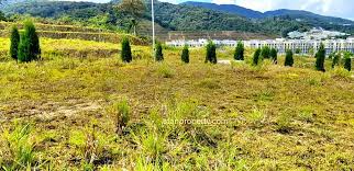 Orchards, retreat, rubber plantation, raw land. Cameron Highland Premium Bungalow Land Cameron Highlands Country Heights Luxury Condo