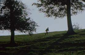 I've generally heard good things about the films of bruno dumont, . L Humanite Bruno Dumont 1999 Sunset Photo Visual