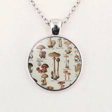 Mushroom Chart Science Art Glass Cabochon Necklace Pendant Bead Creative Unisex Jewelry Gifts