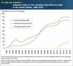 usda farmers adopting drought tolerant corn on pace with