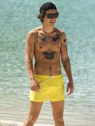 Harry Styles Imagines Beach Volleyball Harry Styles Shirtless Yellow Shorts Harry Styles