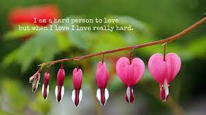 Heart In Love Wallpaper Hd Flower Quotes Love Wallpaper Bleeding Heart