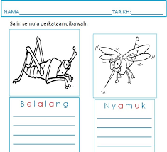Bagi yang bukan cikgu, boleh juga jadikan lembaran kerja ini sebagai latih tubi utk anak2 kecil di rumah. Lembaran Kerja Prasekolah Tema Serangga Sakk Opk