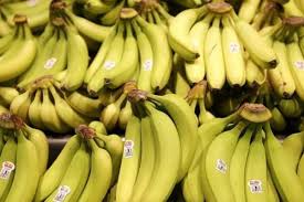Mudah jer tanam pokok pisang berangan ni, menggunakan sulur pisang jer, murah dan dijamin berkesan, nak tengok. Agroindustri Pemkab Blitar Mendorong Produksi Pisang Cavendish