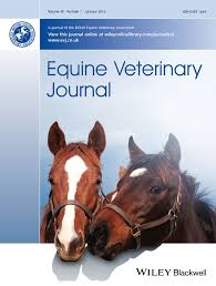 Sei fortunato, le hai trovate. Anatomical Variation Of The Spinous And Transverse Processes In The Caudal Cervical Vertebrae And The First Thoracic Vertebra In Horses Santinelli 2016 Equine Veterinary Journal Wiley Online Library