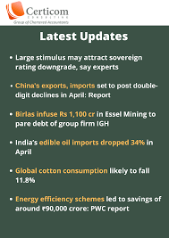 China Export Import Birla Esselmining Edibleoil Cottom Gst Taxation Services Audit And Assurance In 2020 Accounting Services Consulting Business Edible Oil