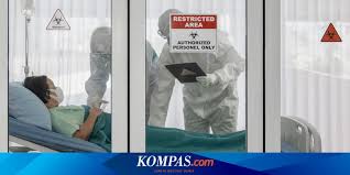 Apakah Seseorang Dapat Terinfeksi Virus Corona Dua Kali Berikut Kata Para Ahli Halaman All Kompas Com