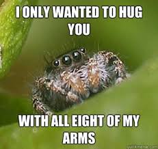 Image 499876 Misunderstood Spider Spiders Funny Spider Meme House Spider