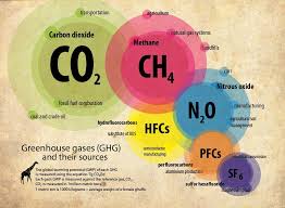 An explanation how the greenhouse effect works on hair growth, hair softening and how exactly to incorporate it into your regimen for astounding if you are anything like me, your days consist of seeking out new ways to boost your hair growth so you can hasten to that glorious head of gorgeous. What Are Greenhouse Gases Main Sources And Climate Impact