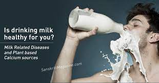 Is Drinking Milk Healthy Sanskriti Hinduism And Indian Culture Website