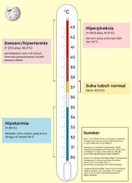Begini ya, dibalil badan yang tinggi saya mau curhat dikit nih. Wikipedia Bahasa Indonesia Ar Twitter Pada Suhu Tubuh Manusia Terdapat Berbagai Istilahnya Sendiri Kenali Dan Periksakan Diri Anda Ke Dokter Apabila Suhu Tubuh Tidak Normal Https T Co 0y1nx3z8as