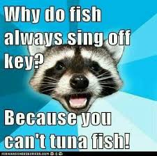 Why Do Fish Always Sing Off Key Because You Can T Tuna Fish Lame Jokes Silly Jokes Corny Jokes