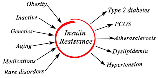 Best supplement to lower blood sugar quickly. 25 Ways To Decrease Insulin Resistance Naturally Martha Mckittrick Nutrition