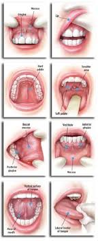 Pin On Dental Hygiene Student