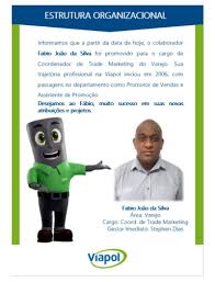 Taylor Schocair Volta Redonda Rio De Janeiro Brasil Perfil Profissional Linkedin