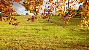 Ultra Hd Wallpaper 8k Resolution 7680x4320 Nature Valley Nature Nature Valley Landscape Wallpaper Amazing 8k wallpapers and images collection in 7680x4320 resolution.