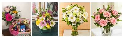 Peonies floral design yra įsikūręs 1702 buddy holly ave, lubbock, tx 79401, usa, šalia šios vietos yra: The 11 Best Options For Flower Delivery In Lubbock 2021