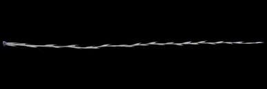 Image result for Trichoneura grandiglumis