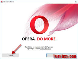 Check spelling or type a new query. Installing Opera Browser In The Portable Mode