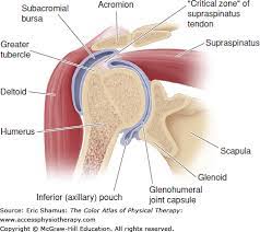 Icd 10 Right Shoulder Pain 99 Degree