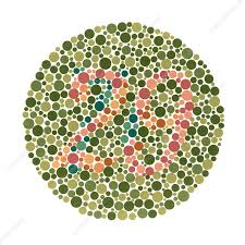 colour blindness test stock image c029 4746 science